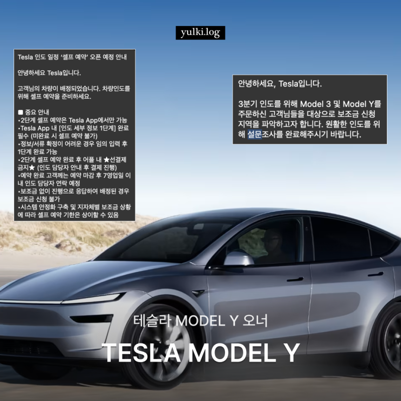 테슬라 주문 후 인도 전 해야할 일 (보조금 설문, 셀프예약)