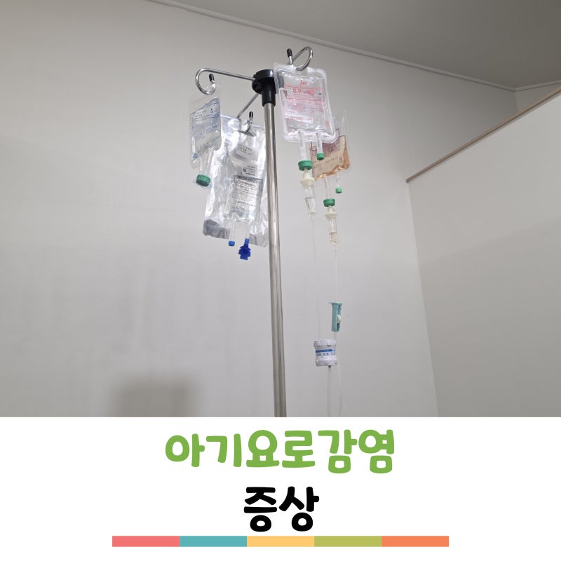 감기 없는 고열이라면? 원인부터 대처법까지 알아보는 아기요로감염증상