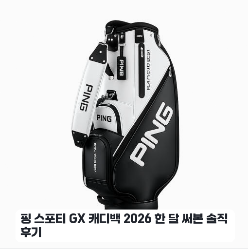 남편 골프 선물로 준비한 핑 스포티 GX 경량 캐디백 실사용기
