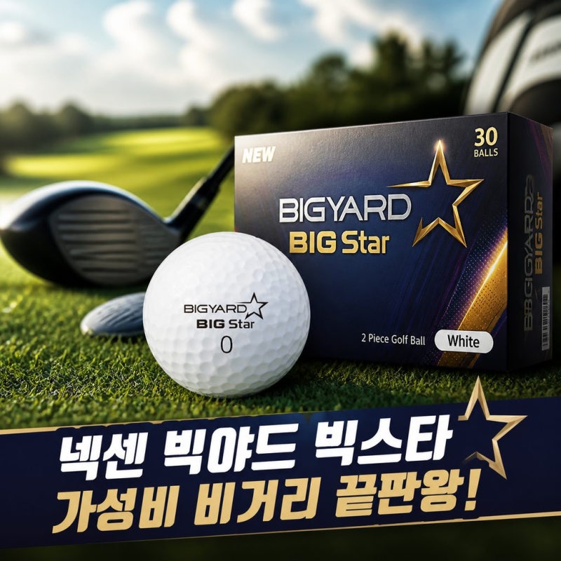 넥센 빅야드 골프공 빅스타 2피스 고반발 비거리 골프공 화이트 30구 가성비 최고