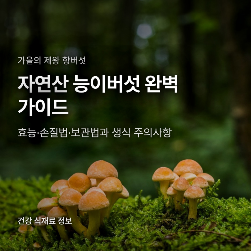 능이버섯 효능 4가지와 손질법, 생식 금지 이유와 냉동 보관법