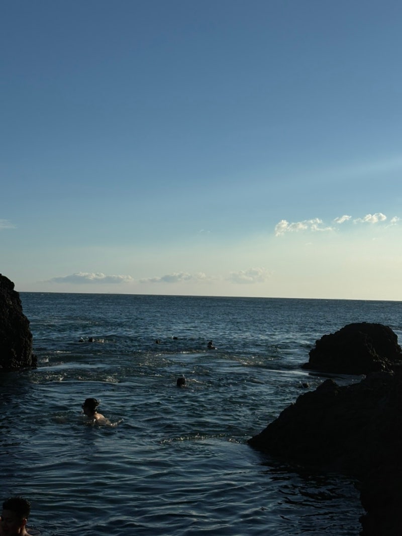 제주도 전지훈련