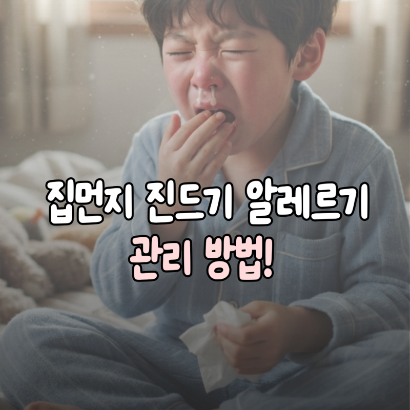 집 먼지 진드기 알레르기 관리 방법