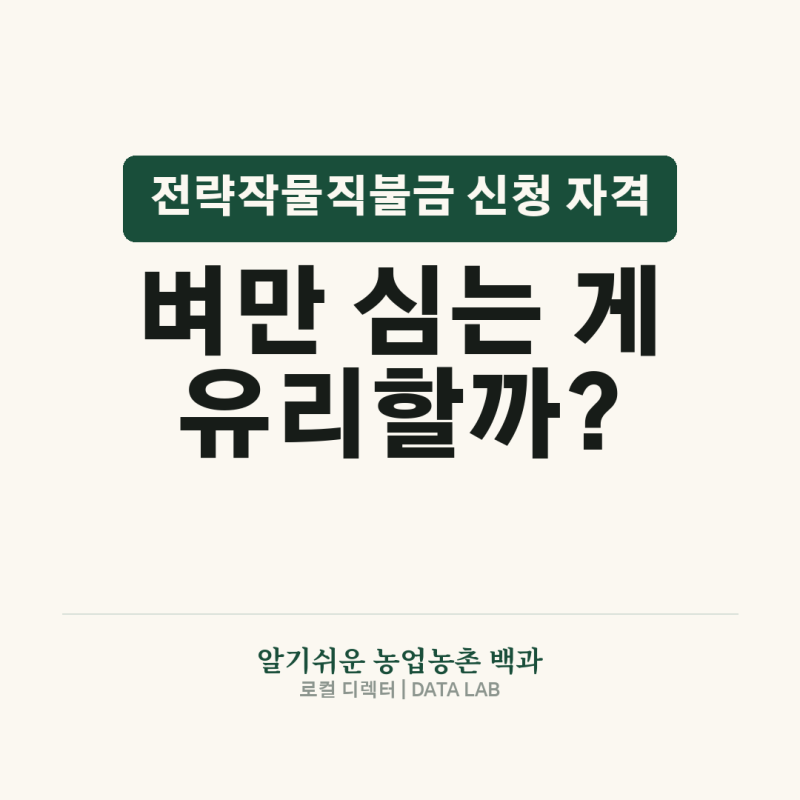 전략작물직불금 신청 자격…벼 대신 심으면 최대 550만 원 나온다
