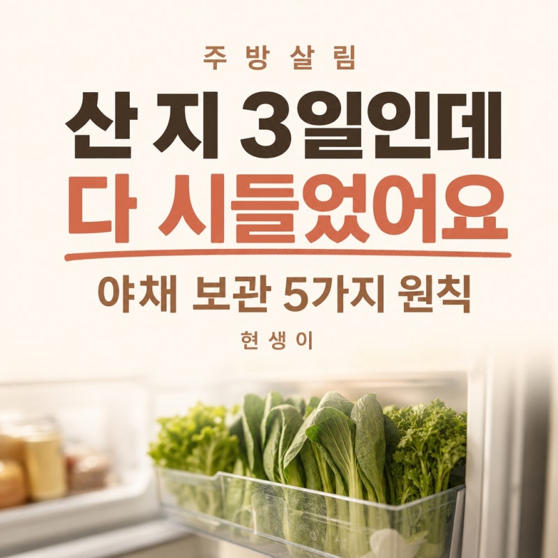 "산 지 3일인데 다 시들었어요.." 야채 보관 5가지 원칙