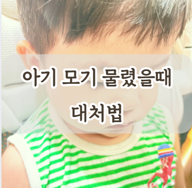 아기 모기 벌레 물렸을 때 대처법 연고 붓기 물집 2차 감염 증상까지