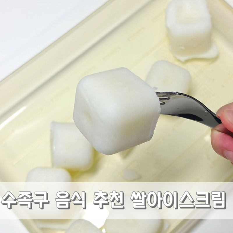 아기 수족구 입안 구내염 음식 추천 쌀아이스크림 만들기