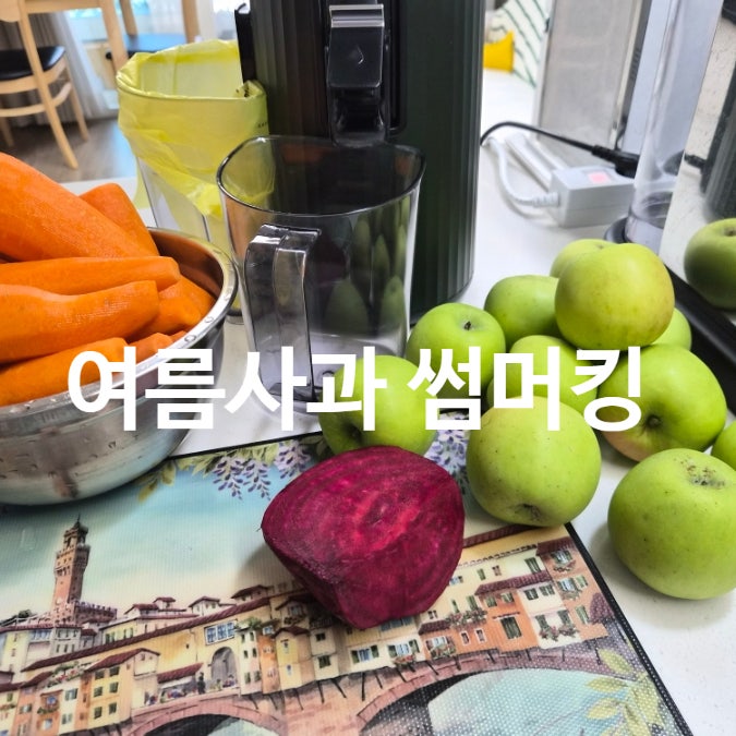 여름사과 아오리사과 썸머킹 추천 싱싱보따리 가정용사과 후기