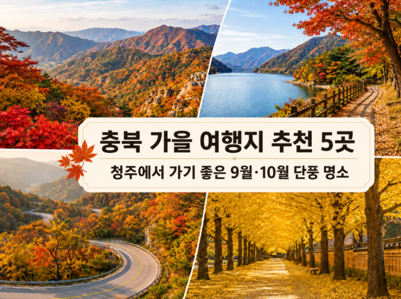 충북 가을 여행지 추천 5곳|청주에서 가기 좋은 9월·10월 단풍 명소