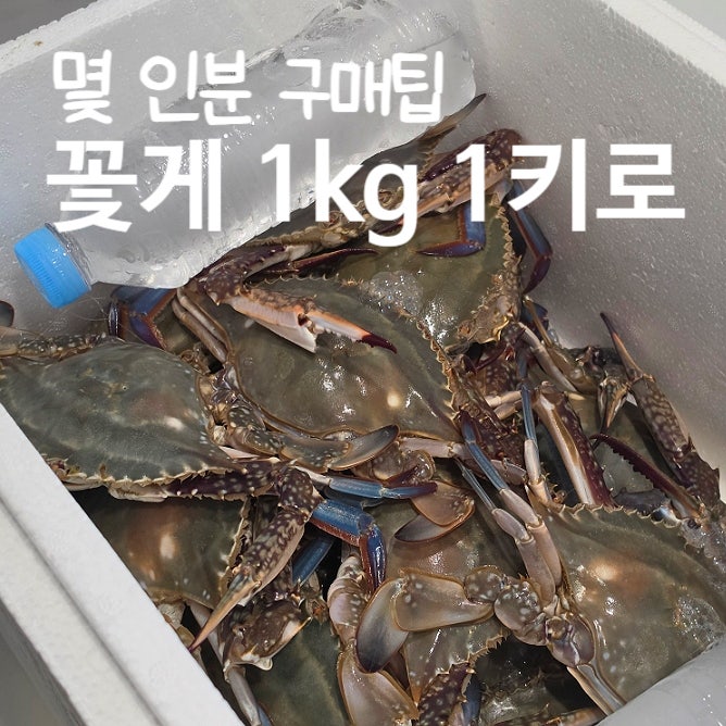 꽃게 1키로 1kg 몇마리 몇인분 꽃게찜