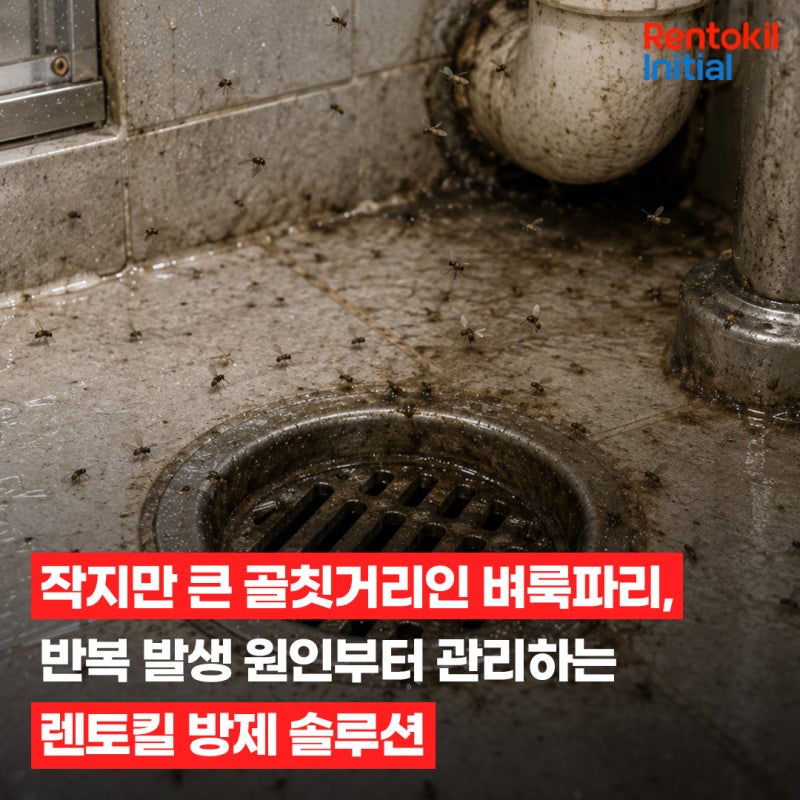 작지만 큰 골칫거리인 벼룩파리, 반복 발생 원인부터 관리하는 렌토킬 방제 솔루션