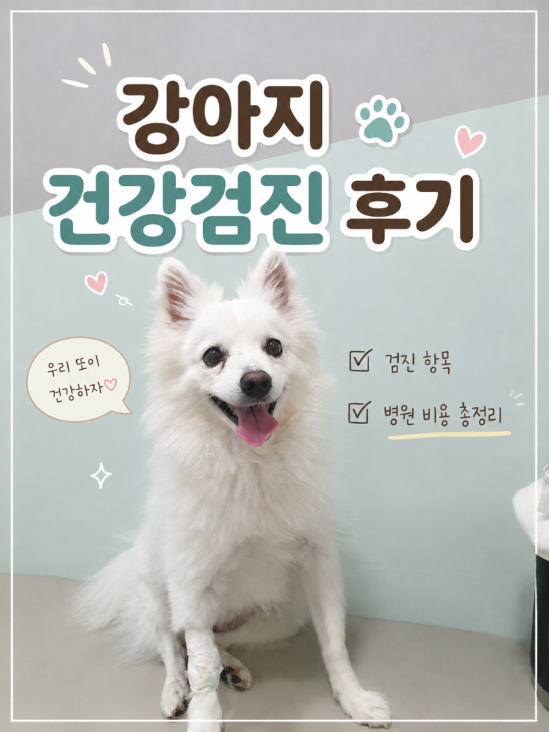 [내돈내산] 9살 강아지 건강검진 비용, 항목 총정리 (X-ray, 복부초음파, 혈액검사)