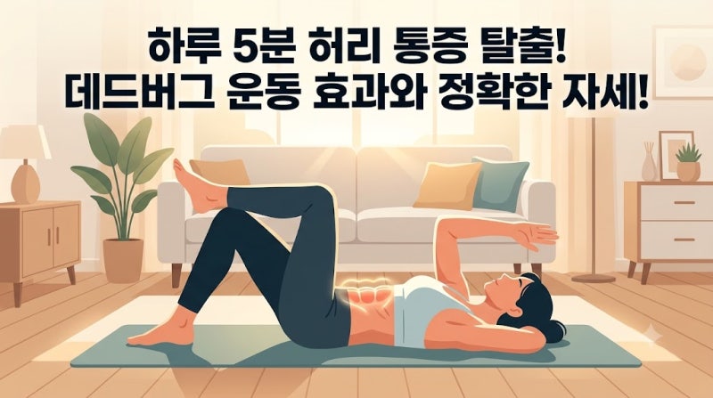 하루 5분 허리 통증 탈출! 데드버그 운동 효과와 정확한 자세