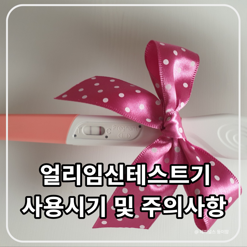 얼리 임신테스트기 사용시기 언제? 얼리임테기 사용방법 및 주의 사항