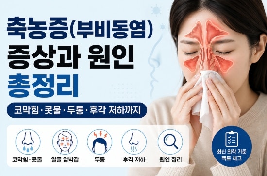 축농증 증상 총정리｜부비동염 원인·코막힘·두통·후각 저하까지