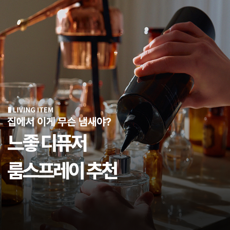 집에서 이게 무슨 냄새야? 느좋 디퓨저 룸스프레이 추천 (비비앙, 헤트라스, 딥티크)