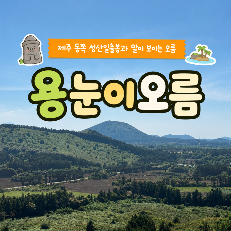 용눈이오름 가볍게 오르기 좋은 제주 동쪽 오름 (말 볼 수있음)