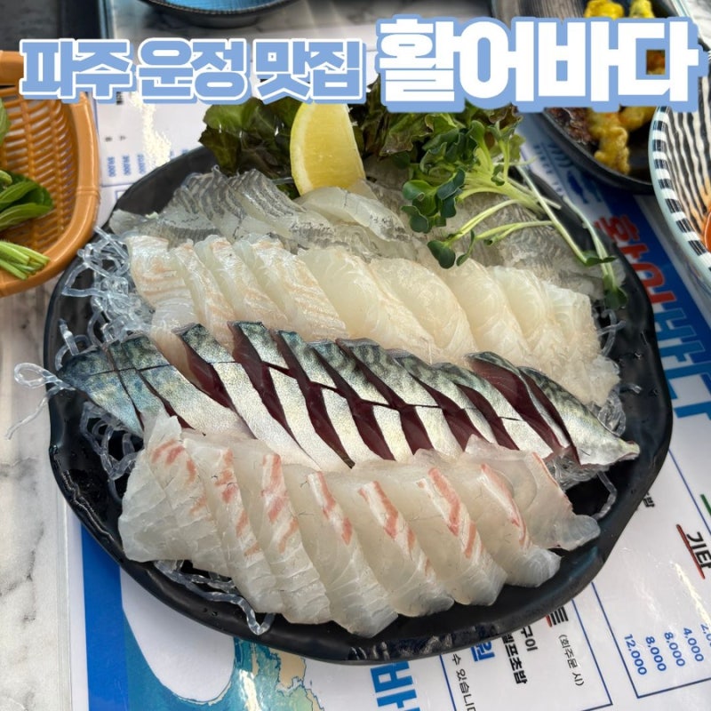 [파주 운정 맛집] 활어바다, 시그니처 모듬회·식사물회·서더리탕까지 솔직후기