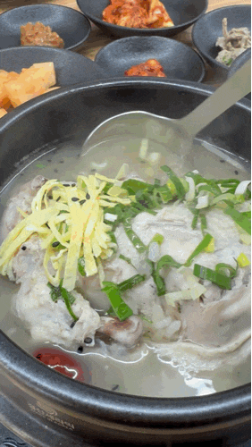 대구 중구 동인동 삼계탕 맛집 경대병원 고향삼계탕