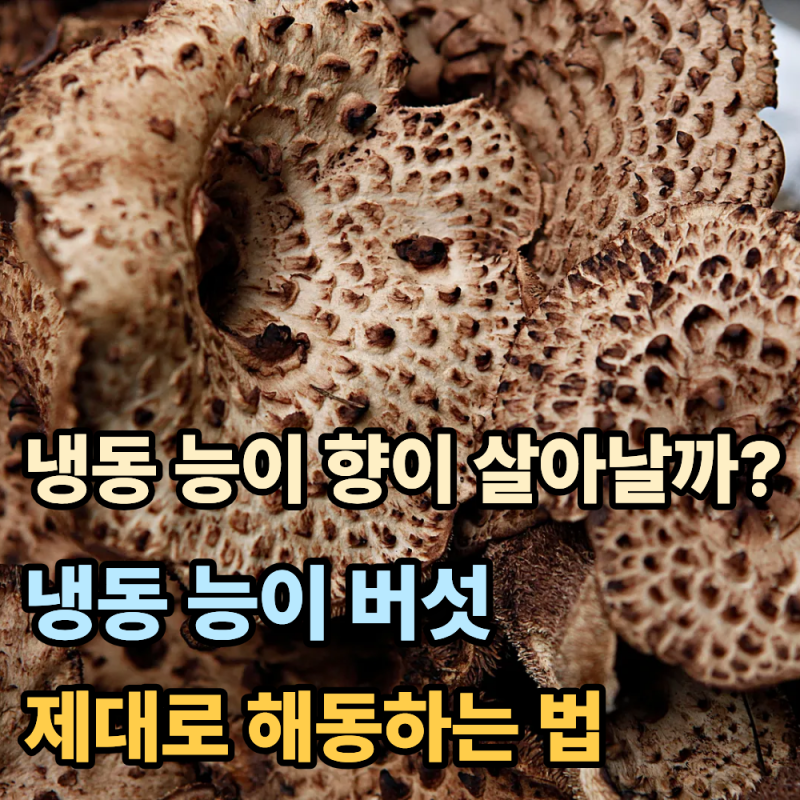 '냉동 능이버섯도 향이 살아날까?"...냉동 능이 제대로 해동하는 방법