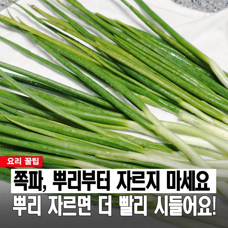 뿌리부터 자를까, 그대로 둘까? 무르지 않고 오래가는 쪽파 보관법