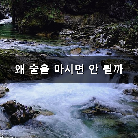 임플란트 후 음주 미루는 이유와 안전한 시기