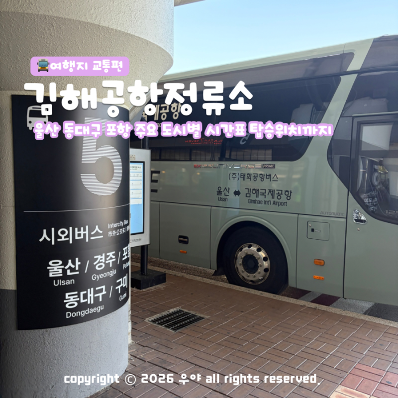 부산 김해공항정류소 울산 동대구 리무진버스 시간표부터 탑승 위치까지