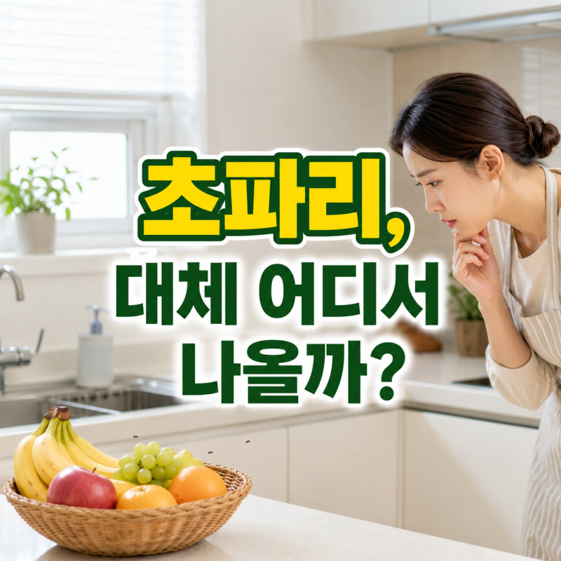 집 안에 초파리가 계속 생기는 이유, 어디서 나오는 걸까? (+초파리원인, 초파리퇴치, 날파리....