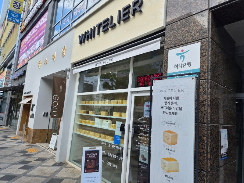 '화이트리에 초코식빵' 세종점에서 오픈런 및 예약 구입 후 솔직후기