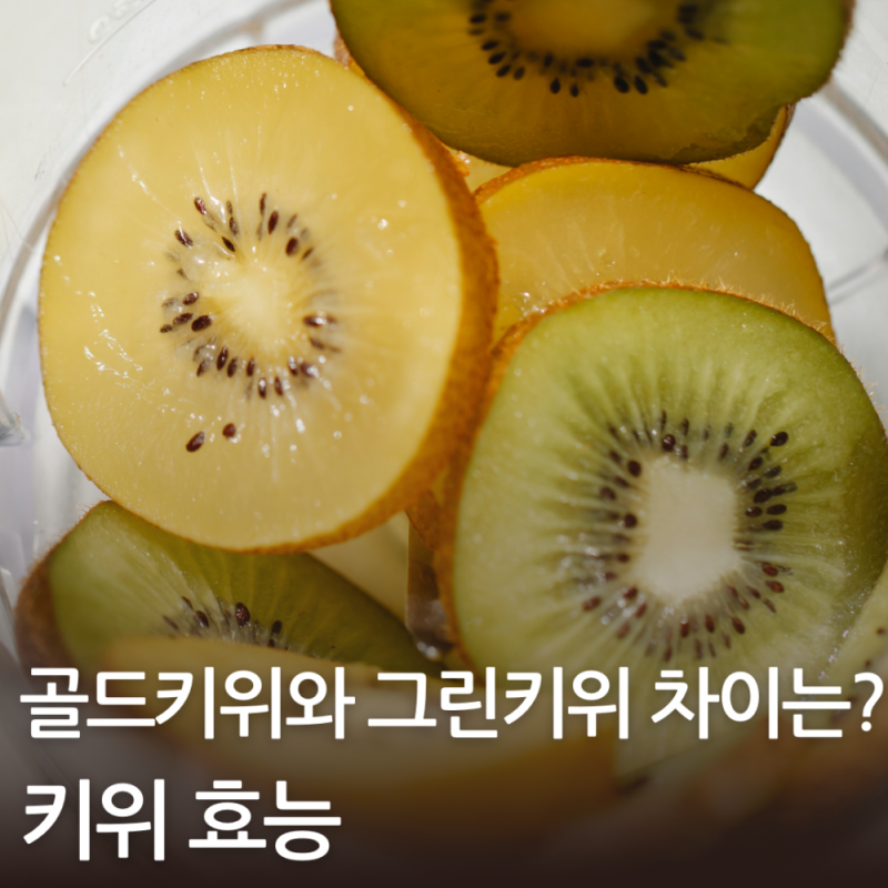 키위 효능 골드키위가 더 좋을까?그린키위와 영양 차이
