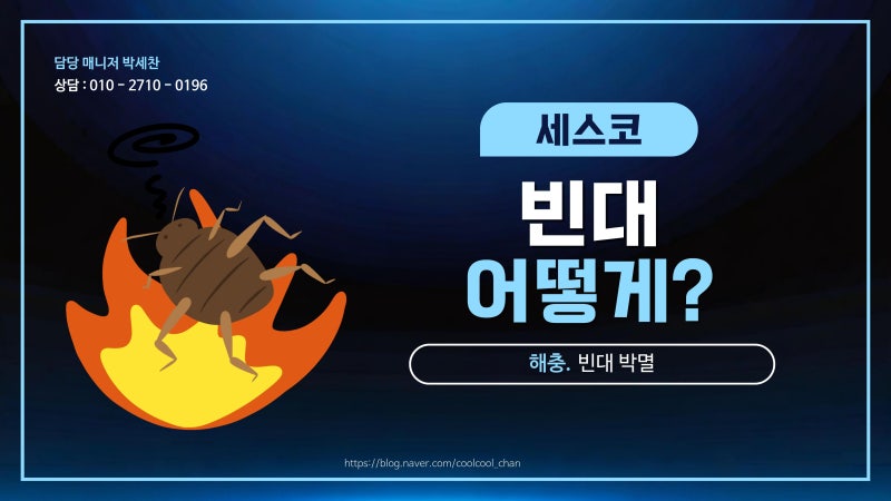 빈대(베드버그) 나왔을 때 세스코가 처리하는 방법 — 3단계 집중 제거 공정 완벽 정리
