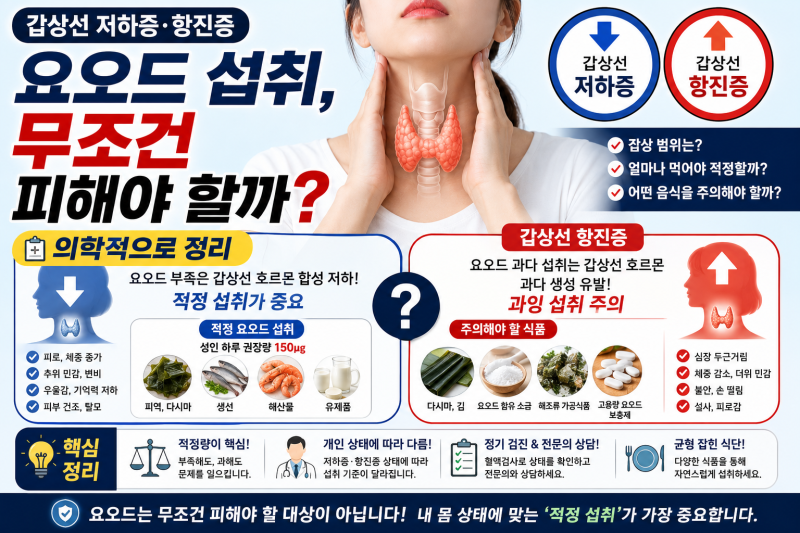갑상선 저하증 항진증 요오드 섭취 무조건 피해야 할까 의학적으로 정리