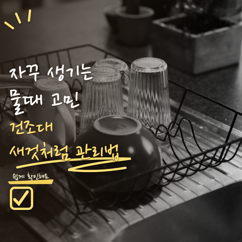 식기건조대 청소 물때가 자꾸 생긴다면? 깔끔하게 관리하는 방법 4가지