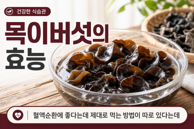 "몰랐으면 서운할 뻔" 목이버섯의 효능 4가지