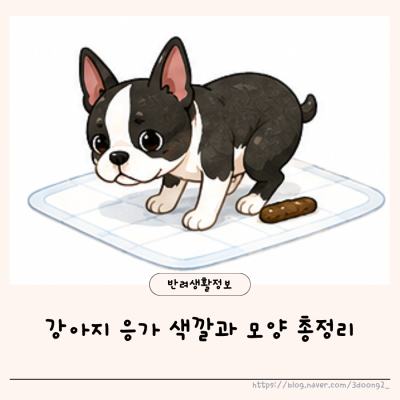 강아지 똥 상태로 알아보는 건강 신호 응가 색깔과 모양 총정리