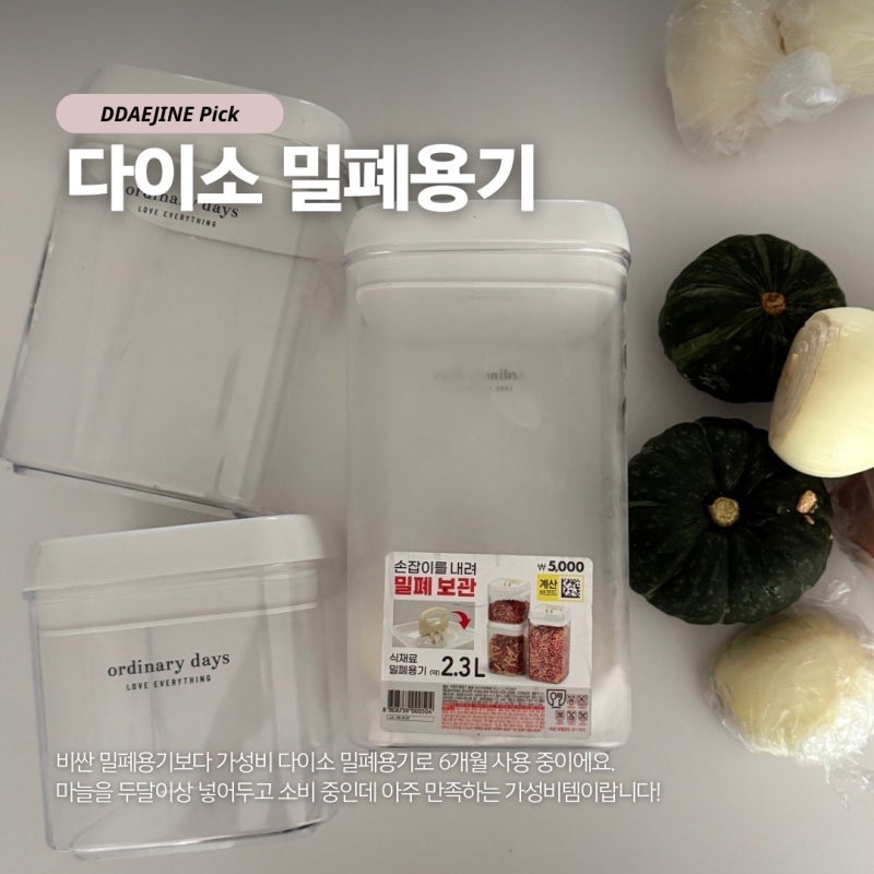 다이소 밀폐 용기 추천 마늘 양파 두달 이상 보관해도 끄떡없는 5천원 가성비템