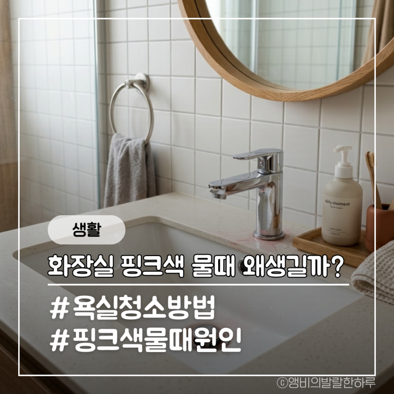 화장실 핑크색 물때 생기는 이유와 제거방법