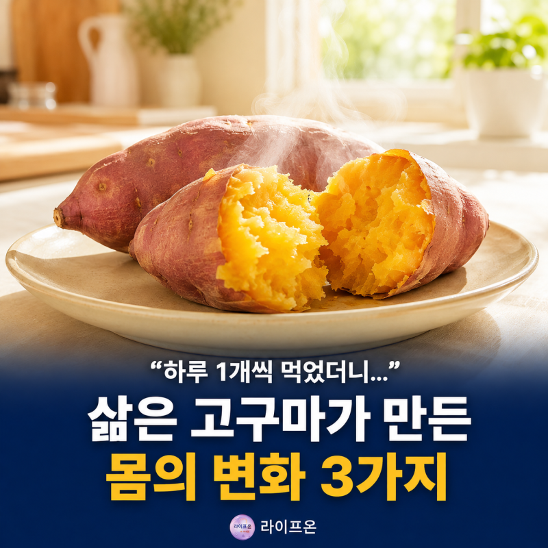 “매일 1개씩 먹었더니…” 삶은 고구마 효능, 몸에 생기는 변화 3가지