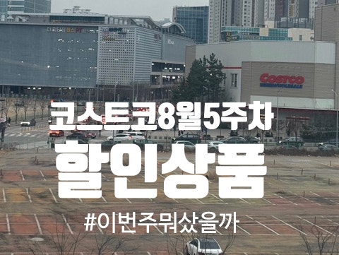 코스트코 8월 다섯째주 할인 송도점에서 이번 주 뭐 샀을까?