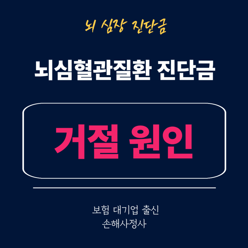 손해사정사가 보는 뇌 심장 혈관질환 부정맥 협심증 급성심근경색 뇌졸중 뇌경색 뇌동맥류 ....