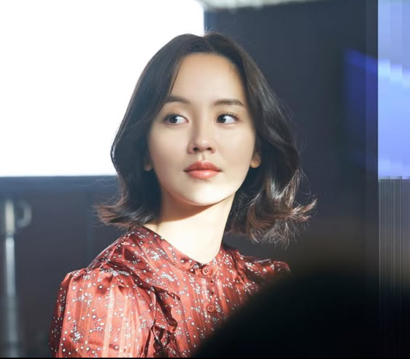 Kim So-hyun's Complete Profile: Age, Education, Representative Works, and The Tale of Nokdu Behind-the-Scenes