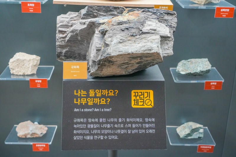 광주 근교 장성 여행지 아이와 함께 가기 좋은 가볼만한곳 TOP3
