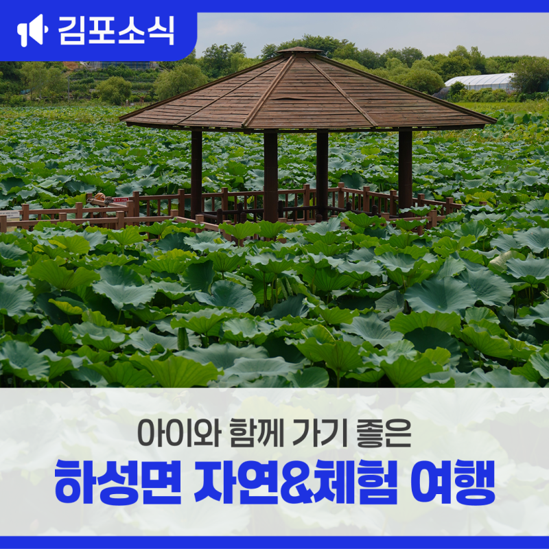 아이와 함께 가기 좋은 김포시 하성면 자연&체험 여행