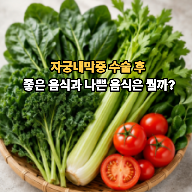 자궁내막증 수술 후 좋은 음식과 나쁜 음식은 뭘까?