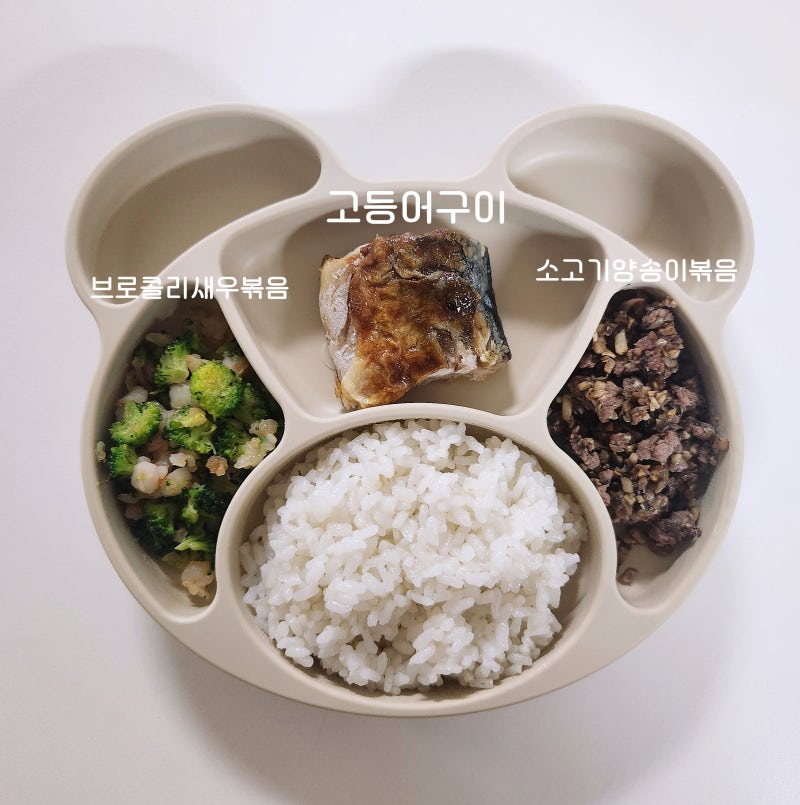 12~13개월 돌아기 유아식 식단 기록 한그릇 메뉴 반찬 공유