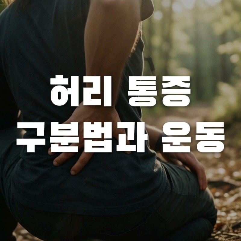 허리디스크협착증차이, 헷갈리면 큰일나요! 통증별 맞춤 운동법