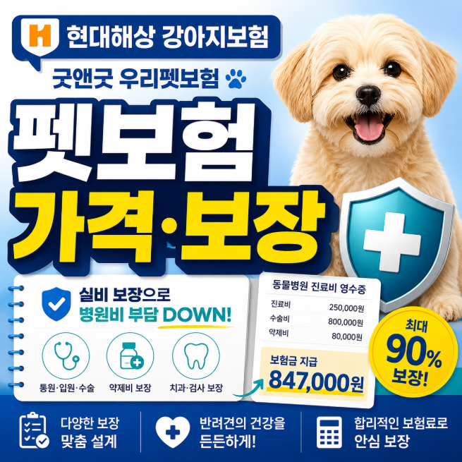 현대해상 강아지보험, 굿앤굿 우리펫보험 가격·실비 보장내용은?