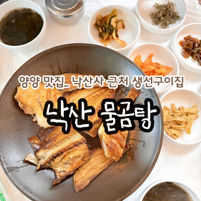 양양 맛집 _ 낙산사, 낙산해수욕장 근처 맛집_ 생선구이 _ 낙산물곰탕