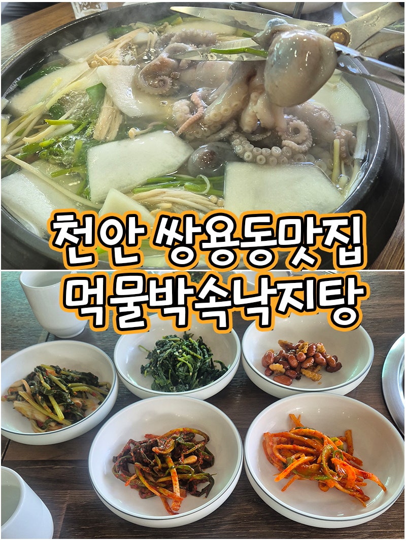 천안 쌍용동 맛집｜10년 넘게 다닌 먹물박속낙지탕 천안점