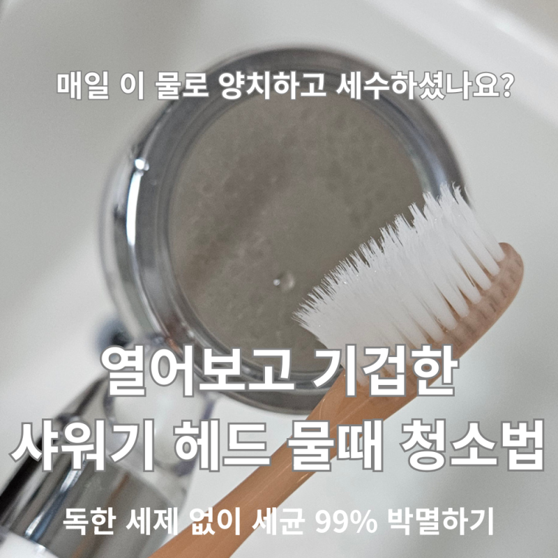 [욕실/위생] "매일 양치하고 세수하는 물인데..." 열어보고 기겁한 샤워기 헤드 청소법